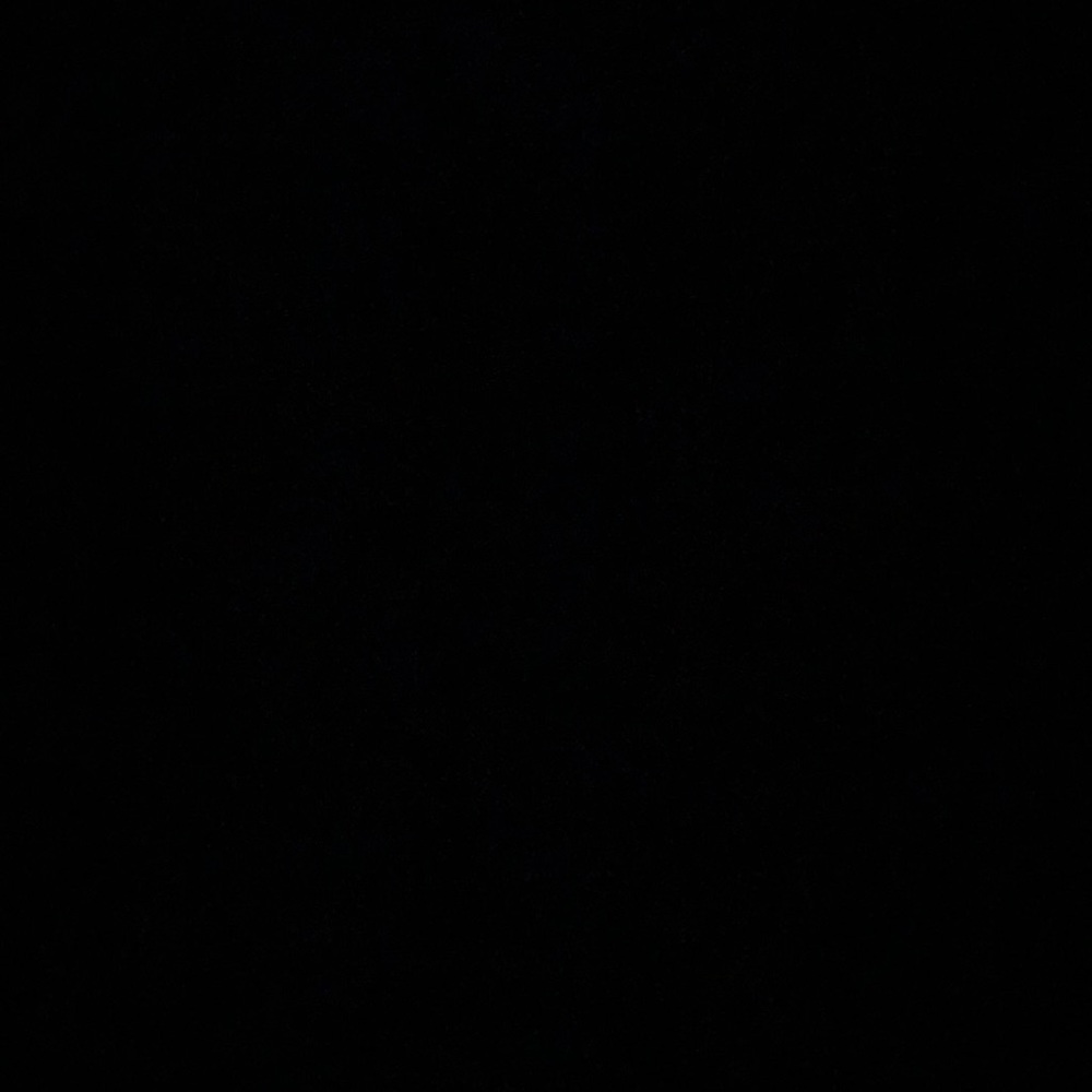 Meet your Posher, Reagan